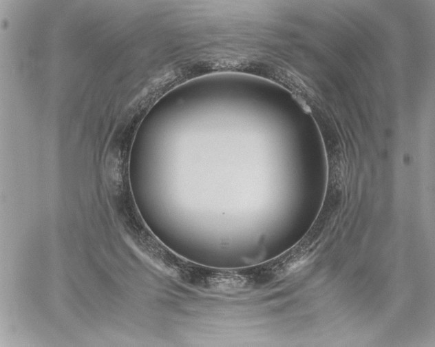 X0000059090215200510172103