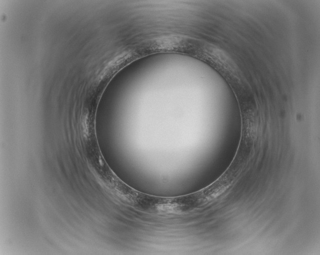 X0000059090216200510172103