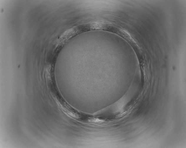 X0000059090217200510172103