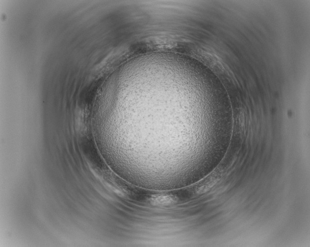 X0000059090218200510172103