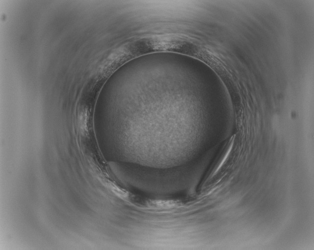 X0000059090219200510172103