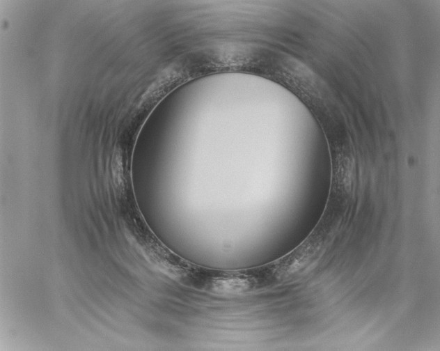 X0000059090220200510172103