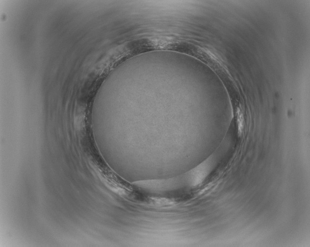 X0000059090221200510172103