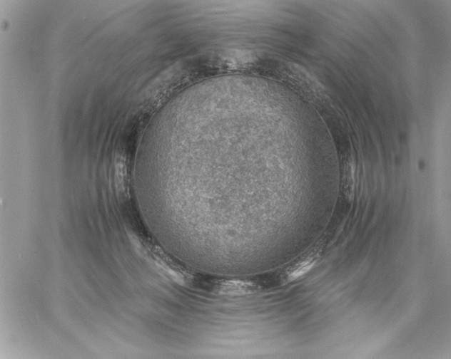 X0000059090222200510172103