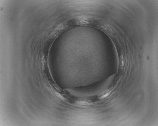 X0000059090223200510172103