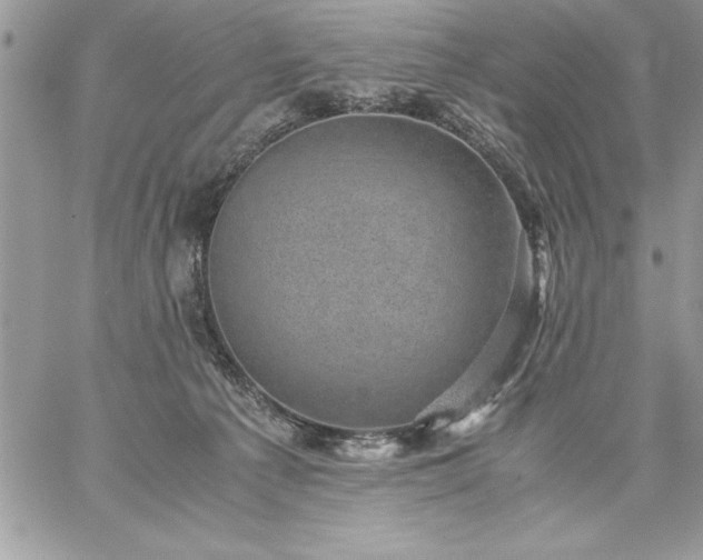 X0000059090225200510172103