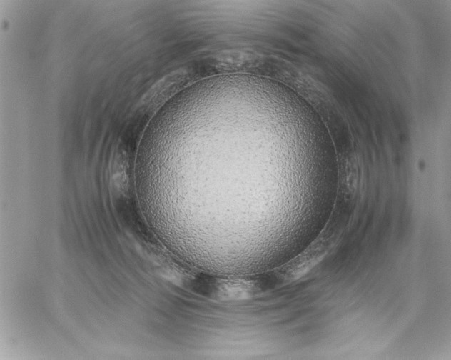 X0000059090226200510172103