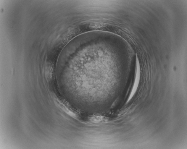 X0000059090227200510172103