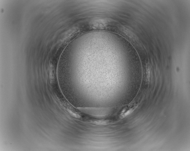 X0000059090228200510172103