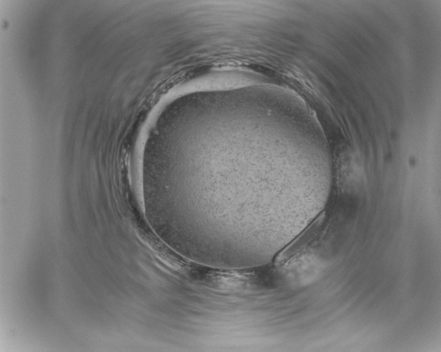 X0000059090229200510172103