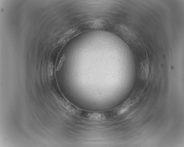 X0000059090230200510172103