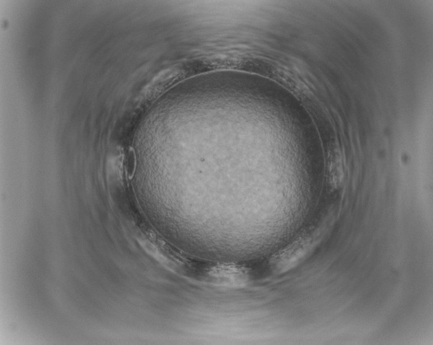 X0000059090231200510172103