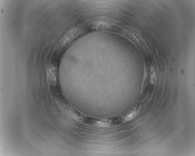 X0000059090232200510172102