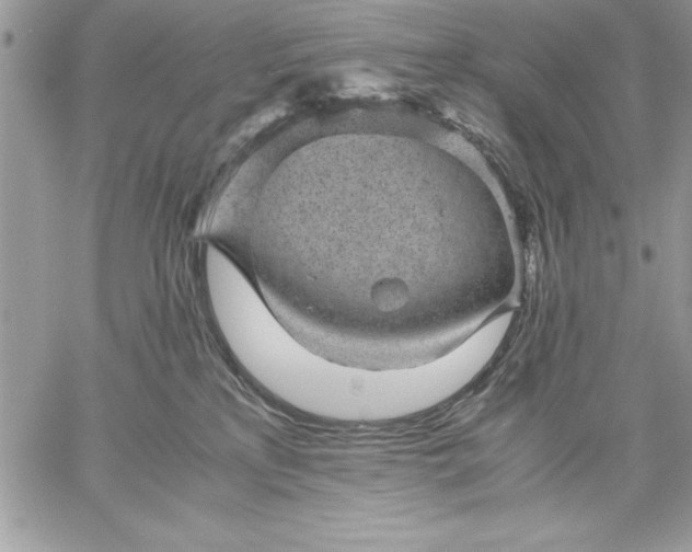 X0000059090233200510172102