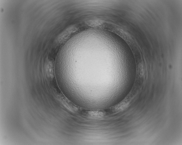 X0000059090234200510172102