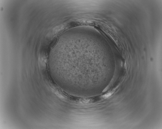 X0000059090235200510172102