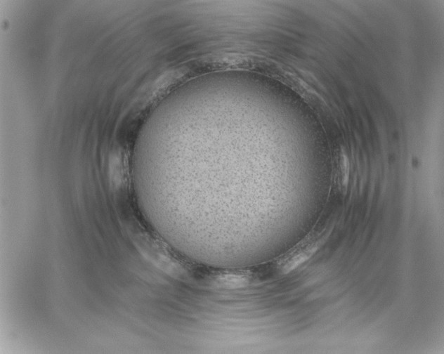 X0000059090236200510172102