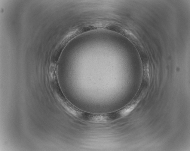 X0000059090237200510172102