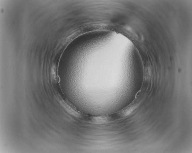 X0000059090238200510172102