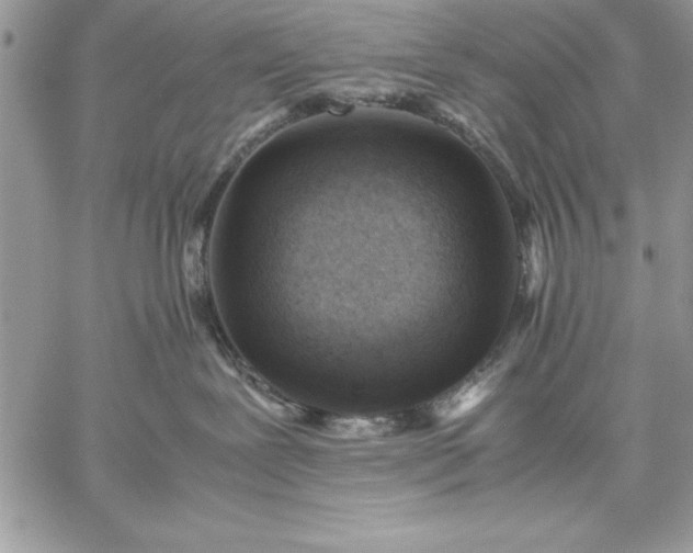 X0000059090239200510172102