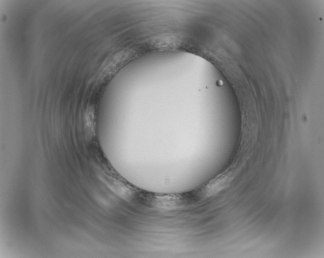 X0000059090240200510172102