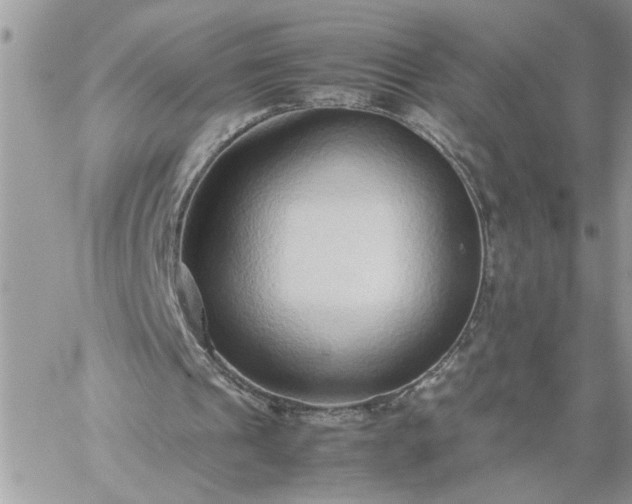 X0000059090241200510172102