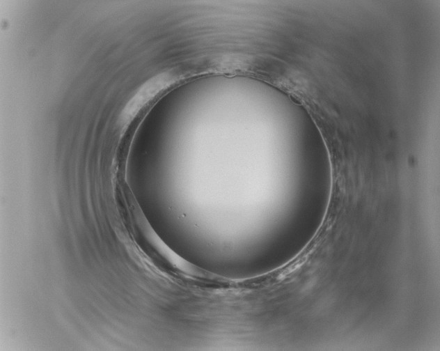 X0000059090242200510172102