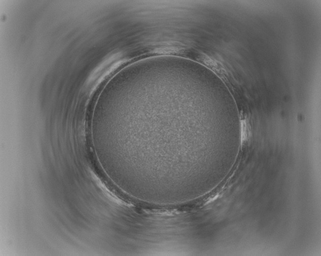 X0000059090243200510172102