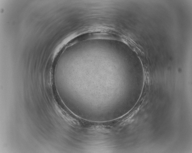 X0000059090244200510172102