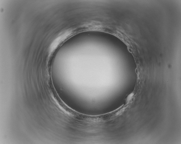 X0000059090245200510172102