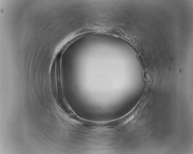 X0000059090246200510172102