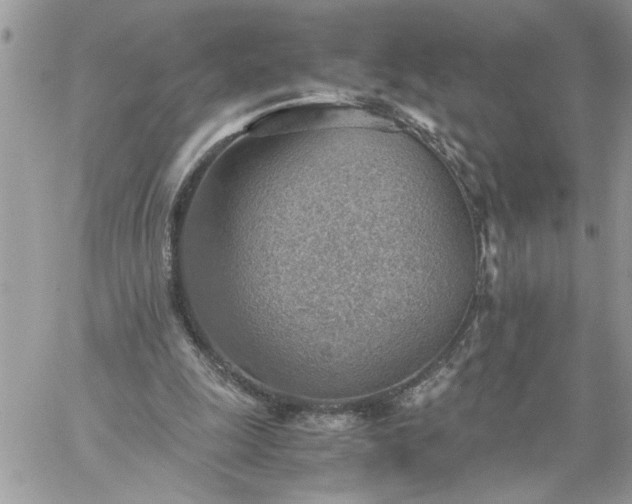 X0000059090247200510172102