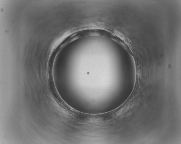 X0000059090248200510172102