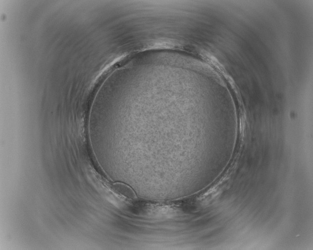 X0000059090249200510172102