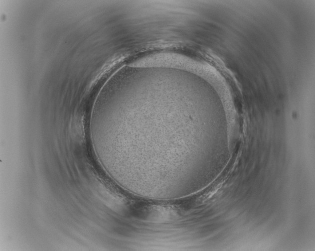 X0000059090250200510172102