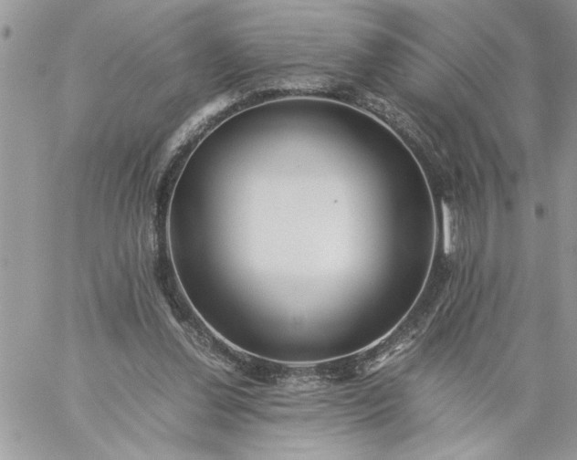 X0000059090252200510172102