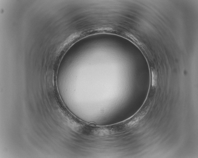 X0000059090253200510172102