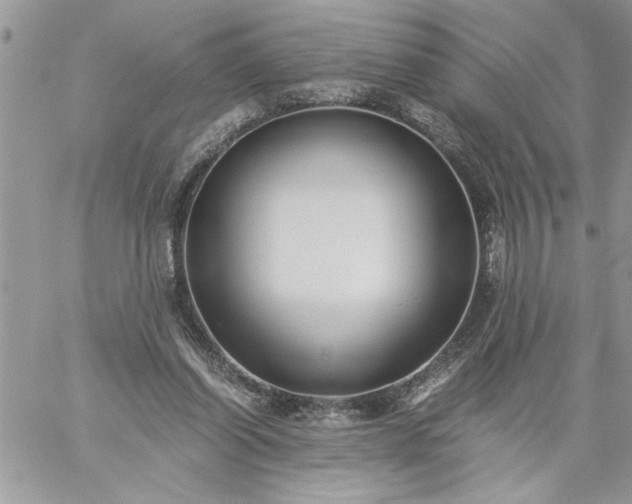 X0000059090254200510172102