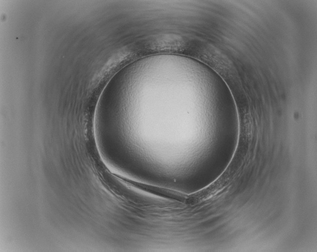 X0000059090255200510172102