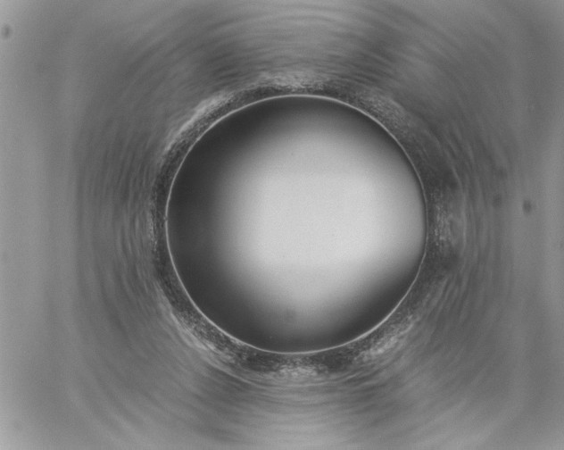 X0000059090256200510172102