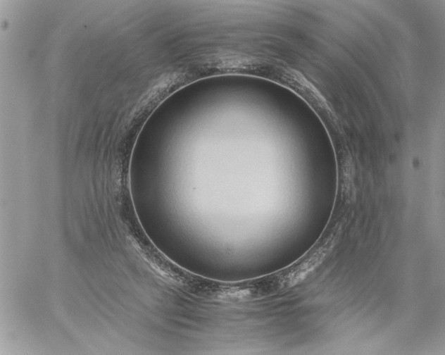 X0000059090257200510172102