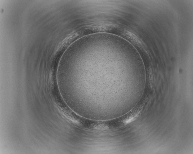 X0000059090258200510172102