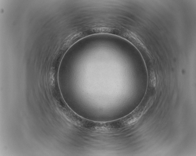 X0000059090259200510172102