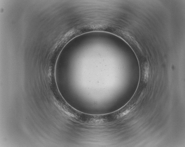 X0000059090260200510172102