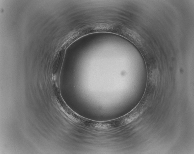 X0000059090261200510172102