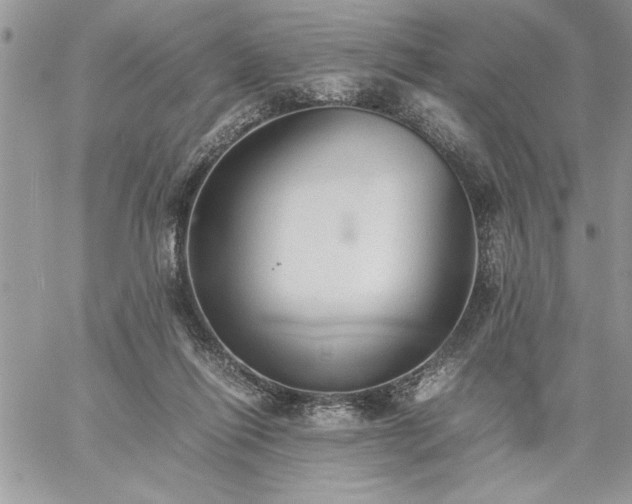 X0000059090262200510172102