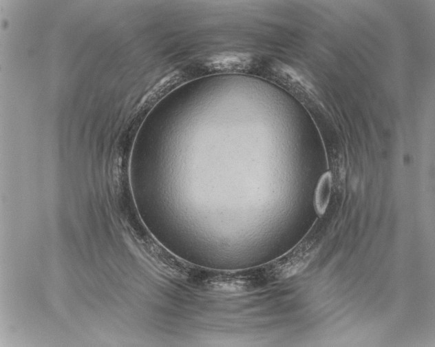 X0000059090263200510172102