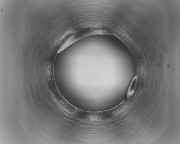 X0000059090264200510172102