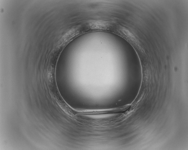 X0000059090265200510172102