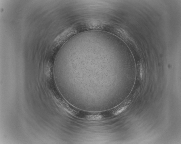 X0000059090266200510172102